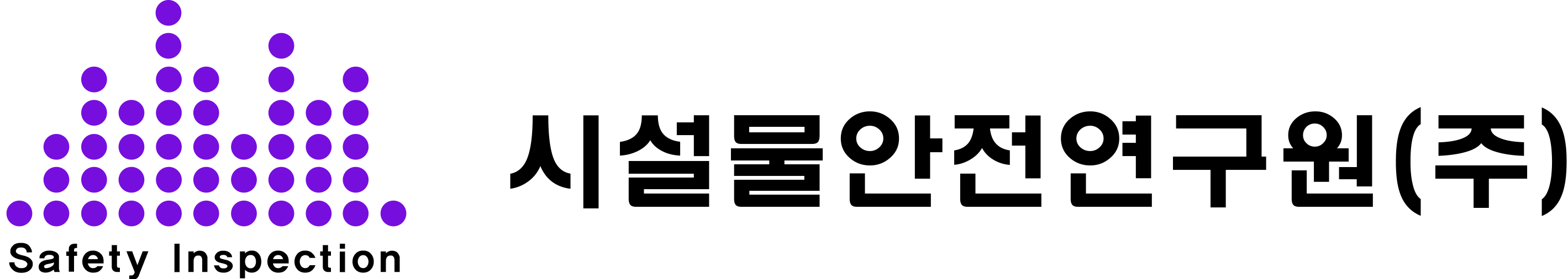 시설물안전연구원(주) Safety Inspection